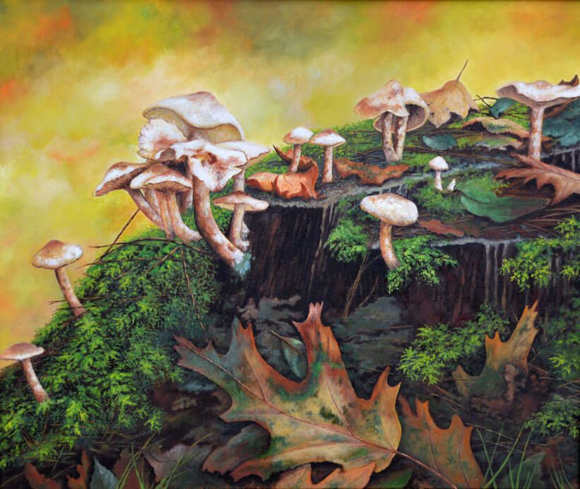 Schilderij "Paddestoelen" olieverf op doek - Rudi Van Buel